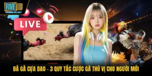 đá gà cựa dao
