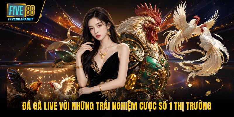 đá gà live