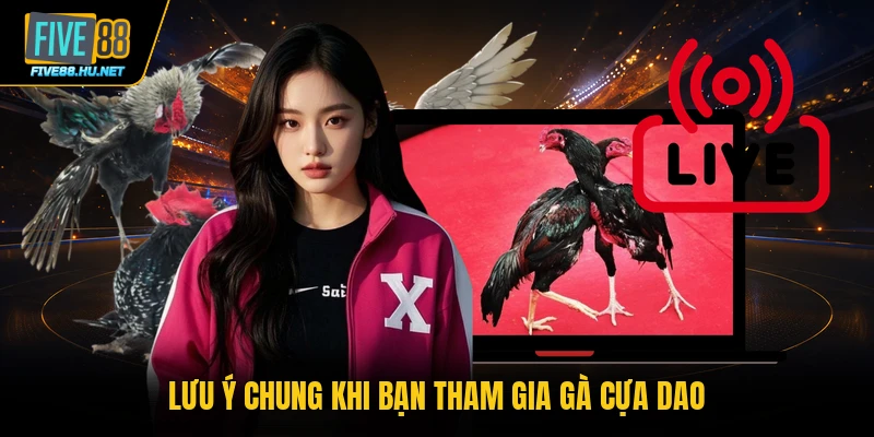 Lưu ý chung khi bạn tham gia gà cựa dao