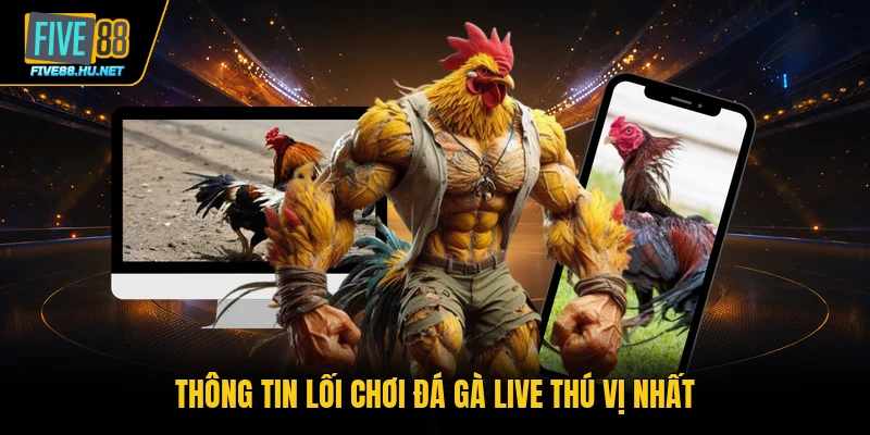Thông tin lối chơi đá gà live thú vị nhất