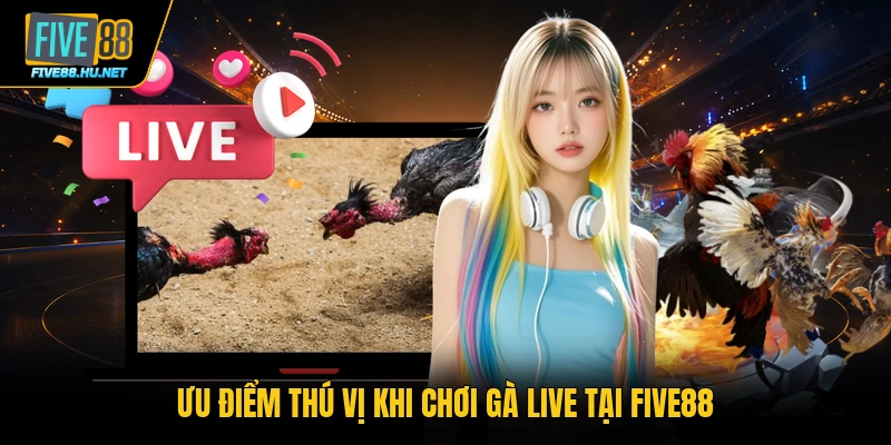 Ưu điểm thú vị khi chơi gà live tại FIVE88